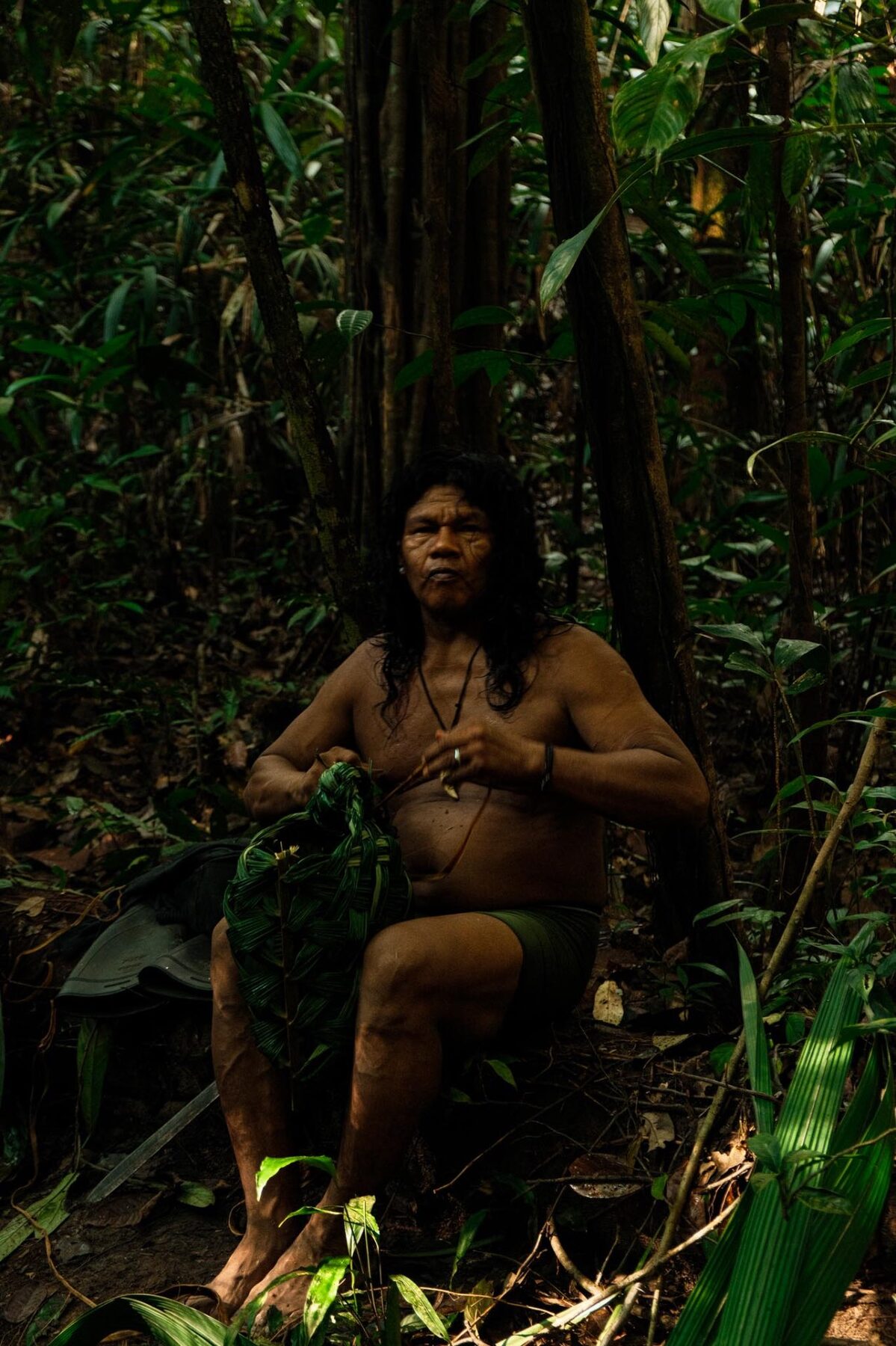 Amazon Rainforest